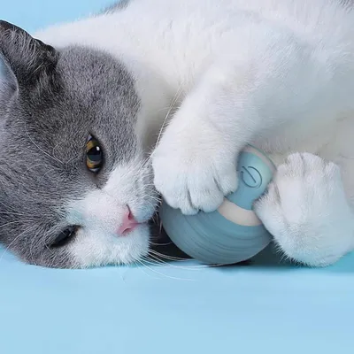 Катящиеся умные игрушки для кошек, автоматически движущийся вращающийся  мяч, новая интерактивная игрушка для кошек, игра в помещении – лучшие  товары в онлайн-магазине Джум Гик