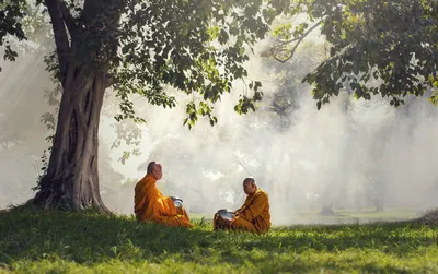 5 принципов дзен-буддизма, которые помогут наладить жизнь. Блог Дариуса  Фору / NV