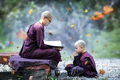 Буддизм и дзен-буддизм. Отличия. | Ягерь | Дзен