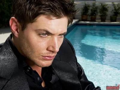 Обои Jensen ackles, supernatural, черно-белый, дженсен эклс на рабочий стол