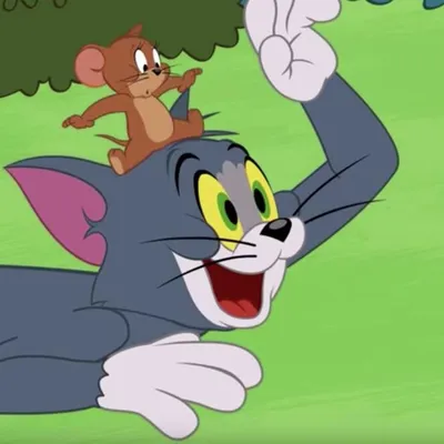 Tom And Jerry | Том И Джерри | Обои | Wallpaper | Cartoon, Cartoon  wallpaper, Tom and jerry wallpapers