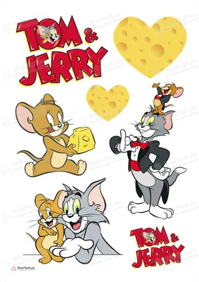 Том Кэт Джерри Маус Том и Джерри, Злой Джерри Фри, Джерри Мышь,  млекопитающее, кошка, как млекопитающее png | PNGWing