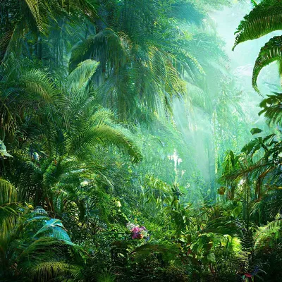 Джунгли лесов - 65 фото