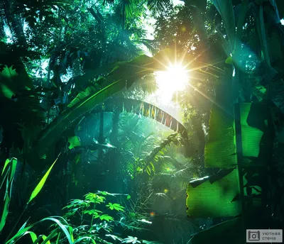Купить фотообои Ночные джунгли AM058 на сайте интернет-магазина, отзывы