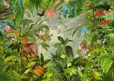 Джунгли животные и растения - 68 фото