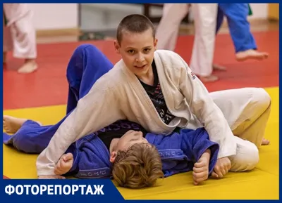 Купить Кимоно для дзюдо Champion 2 IJF Premium синее с серебристыми  полосками J-IJFB 🚩 в интернет-магазине в Москве COMBATMARKT