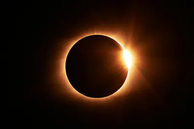 Eclipse Pictures [HD] | Download Free Images on Unsplash