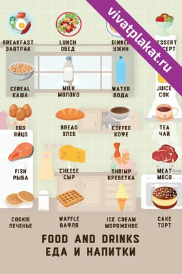Еда и напитки на английском языке — плакат для изучения названий еды, блюд,  напитков на английском языке | ВиватПлакат