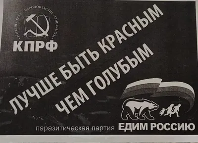 Во Владимирской области идет агитационная кампания против “партии власти” |  Довод