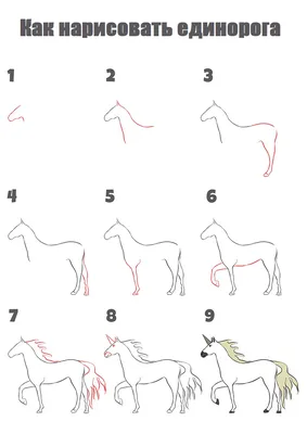 НАУЧИСЬ РИСОВАТЬ ЕДИНОРОГА ЗА НЕСКОЛЬКО МИНУТ 👉🕒 Всего за несколько минут  мы покажем вам, как нарисовать самого милого и симпатичного… | Instagram
