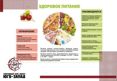 4 основных этапа правильного питания | продукты правильного питания на  каждый день | Доктор Борменталь