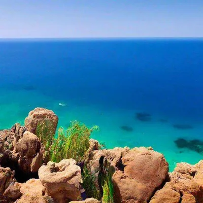 Самое красивое море и низкие цены: чем удивит Египет в этом сезоне - РИА  Новости, 25.01.2023