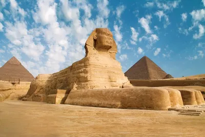 Скачать 1680x1050 верблюд, пирамиды, египет обои, картинки