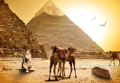 Тур на двоих в Египет