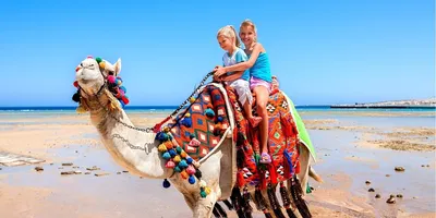 12 лучших курортов Египта для незабываемого отдыха на море в 2024 году