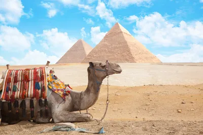 Обои Пирамиды, Египет на рабочий стол