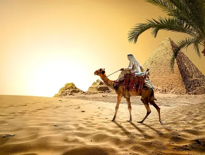 От Каира до Хургады за 8 дней (Тур в Египет с отдыхом на пляже Красного  моря и посещение таинственной пирамиды в некрополе Саккара, 8 дней + авиа)  - Египет