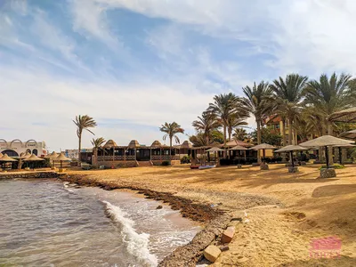 Хургада 2024 – особенности отдыха в Египте 🇪🇬, где разместиться, что  посмотреть, какие минусы, где находится