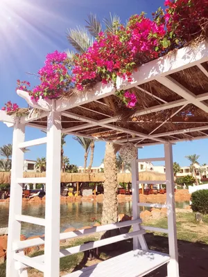Отель Fortuna Hurghada 3* 3* / Египет / Хургада - фото, туры в отель