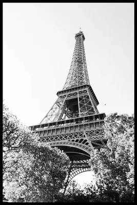 Эйфелева башня. Строительство | IZI Travel