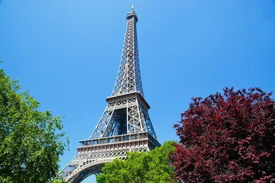 Ейфелева вежа в Парижі забарвилася в рожевий - ZN.ua
