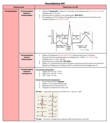 Быстрая расшифровка ЭКГ | Александр Сеченов из медицинской онлайн школы -  Sechenov Universkill | Дзен