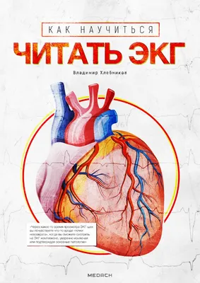 Функциональная диагностика (ЭКГ сердца, тредмил-тест, суточное  мониторирование, эхокардиография и пр.) в Санкт-Петербурге