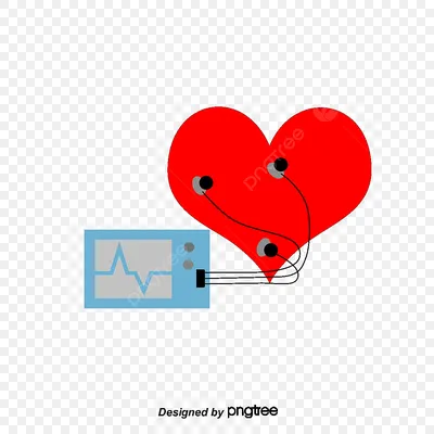 ЭКГ | Сделать экг кардиограмму сердца | Медицинский центр Гастроклиника  Ярославль