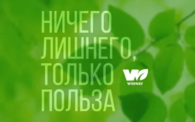 Зеленым» Волгограда запретили использовать экологические лозунги на Первомае