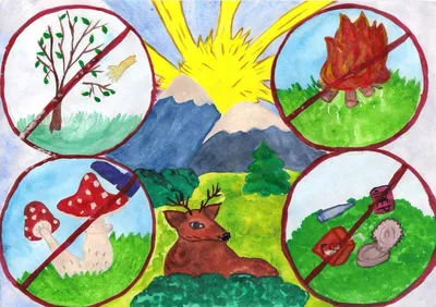 Экологический знак природы в картинках для учеников 2 класса