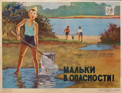 В Новороссийске обратились к истории экологических плакатов | Русское  географическое общество