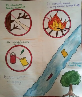 Экологический плакат Правила поведения на природе — МБОУ \"Пограничная  средняя общеобразовательная школа №2 имени Байко Варвары Филипповны  Пограничного МО\"