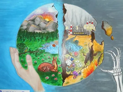 Комплект плакатов-раскрасок \"Экология Земли\": 8 плакатов с методическим  сопровождением формата А3 – купить по цене: 217 руб. в интернет-магазине  УчМаг