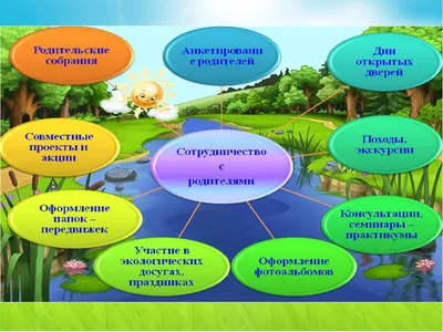 Анализ программ экологического воспитания дошкольников