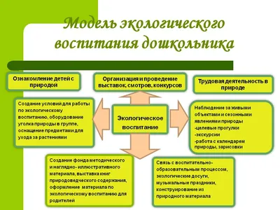 Экологическое воспитание детей в столичных детских садах | Управление  образования администрации г. Чебоксары