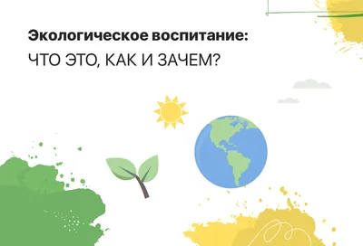 Что такое экологическое воспитание и какова его цель — karpachoff.com