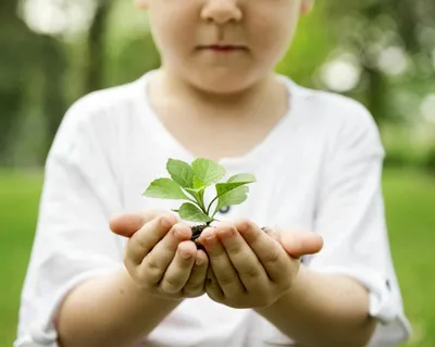 Экологическое воспитание детей дошкольников, для чего оно нужно?