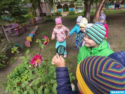 Экологическое воспитание в детском саду, разработка проекта по экологии и  прочее