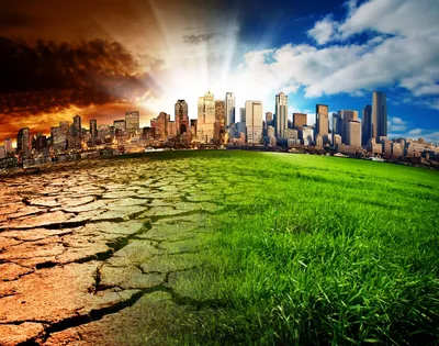 Глобальні екологічні проблеми: сучасні виклики | Данкевич Євген Михайлович