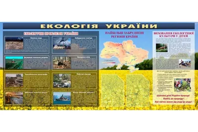 Українці назвали основні екологічні проблеми країни – опитування