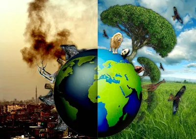 Экология Земли Планеты Для Ухода За Окружающей Средой — стоковая векторная  графика и другие изображения на тему Без людей - iStock
