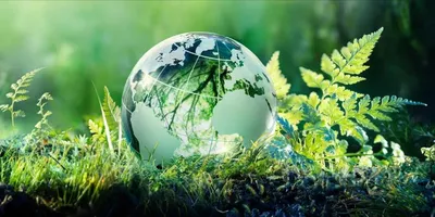 Экология и природопользование, направленность «Экология» - Официальный сайт  НИМИ ДГАУ