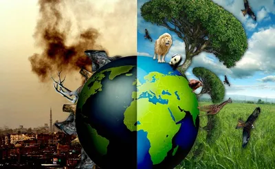 Как экология влияет на человеческую историю | Аналитический Интернет-портал