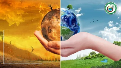 Что такое Экология? | Ўрмон хўжалиги агентлиги