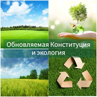Экология, берегите природу, логотип, экология концепт Stock Illustration |  Adobe Stock