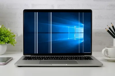Что делать если на экране ноутбука появились полосы? |F1CenterWhat to do if  stripes appear on the laptop screen? |F1Center
