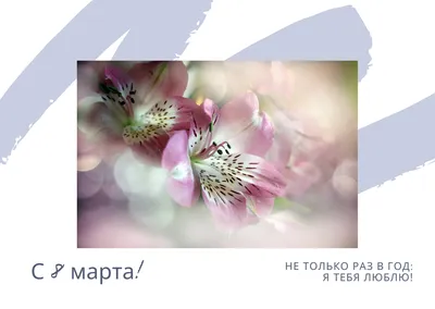Поздравления с 8 марта в картинках: оригинальные открытки к празднику |  Українські Новини