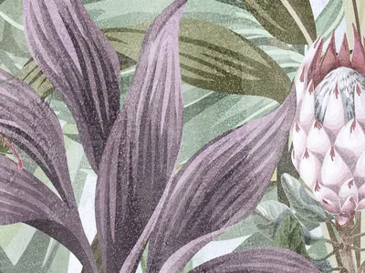 Пеларгония цветы — экзотика на вашей тарелке 10 бутон