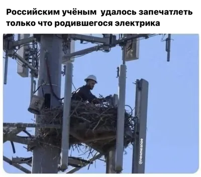 Вызвать электрика на дом в Москве - услуги электрик по вызову недорого |  Мосэнергосбыт
