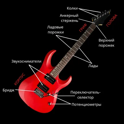 Анатомия электрогитары. Часть 1: корпус и гриф | Иван Скачков